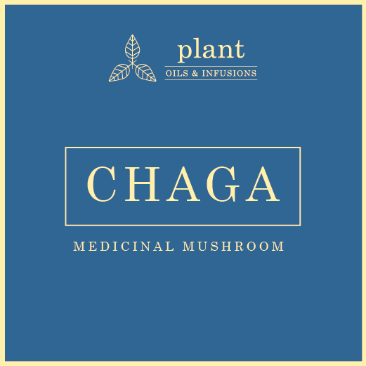 chaga-organic-powder-plant-oils-infusions